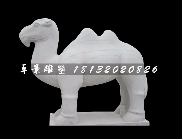 駱駝石雕，漢白玉駱駝  卓景雕塑